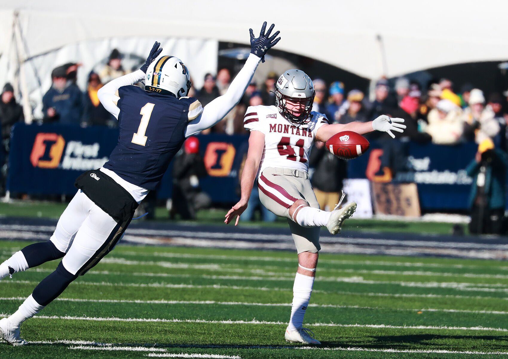 Cat Griz 2022